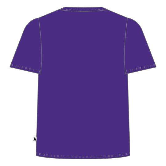 Youth & Adult Sayville Golden Flashes Logo Tee Shirt - 4 colors!